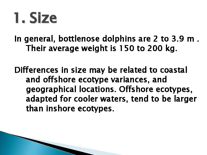 1. Size In general, bottlenose dolphins are 2 to 3. 9 m. Their average