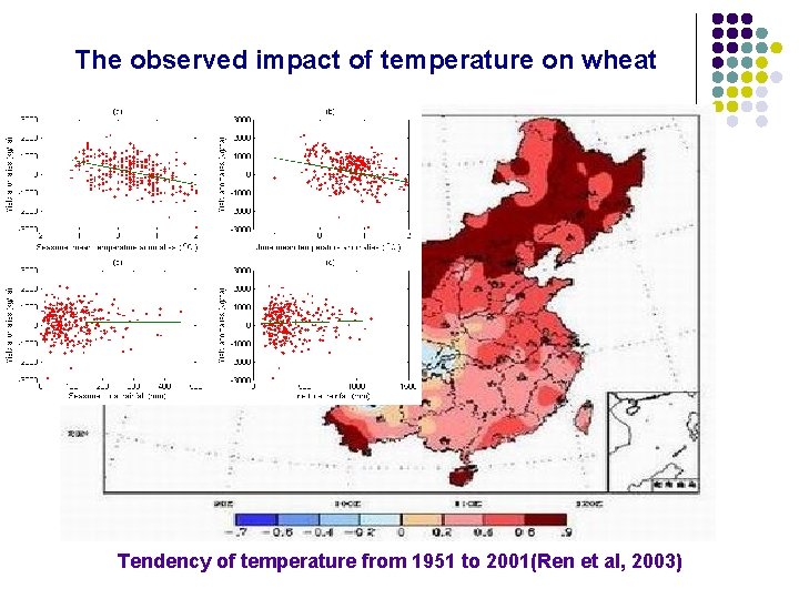 The observed impact of temperature on wheat Tendency of temperature from 1951 to 2001(Ren