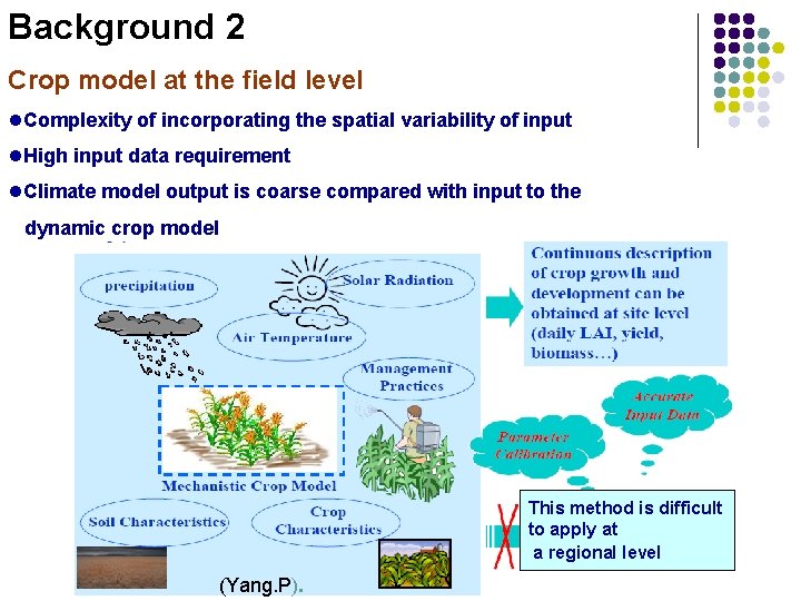 Background 2 Crop model at the field level l. Complexity of incorporating the spatial