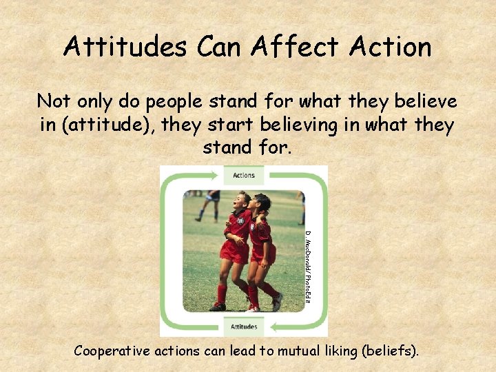 Attitudes Can Affect Action Not only do people stand for what they believe in