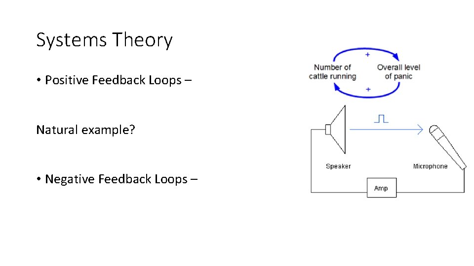 Systems Theory • Positive Feedback Loops – Natural example? • Negative Feedback Loops –