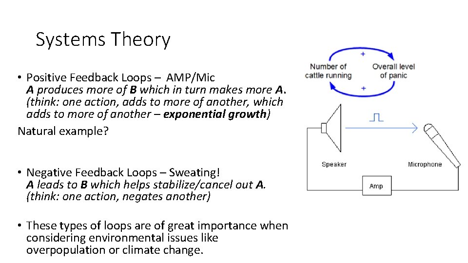Systems Theory • Positive Feedback Loops – AMP/Mic A produces more of B which