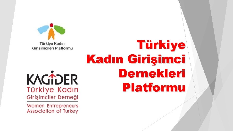 Türkiye Kadın Girişimci Dernekleri Platformu 