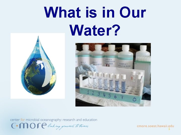 What is in Our Water? 1 