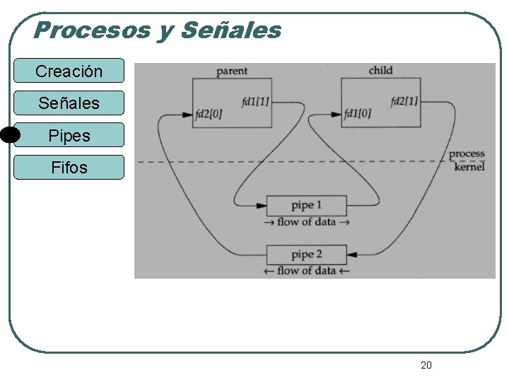 Procesos y Señales Creación Señales Pipes Fifos 20 