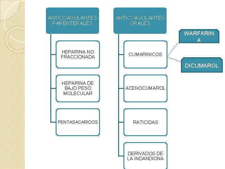 ANTICOAGULANTES PARENTERALES ANTICOAGULANTES ORALES WARFARIN A HEPARINA NO FRACCIONADA CUMARINICOS DICUMAROL HEPARINA DE BAJO ANTICOAGULANTES PARENTERALES ANTICOAGULANTES ORALES WARFARIN A HEPARINA NO FRACCIONADA CUMARINICOS DICUMAROL HEPARINA DE BAJO
