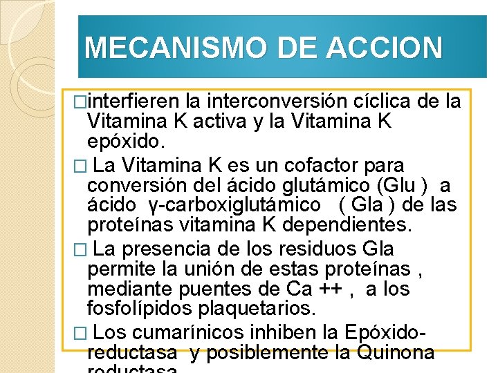 MECANISMO DE ACCION �interfieren la interconversión cíclica de la Vitamina K activa y la MECANISMO DE ACCION �interfieren la interconversión cíclica de la Vitamina K activa y la