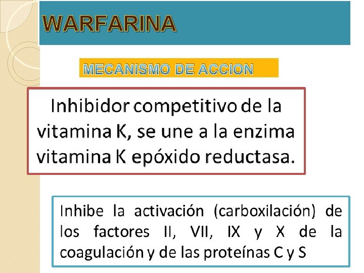 WARFARINA MECANISMO DE ACCION WARFARINA MECANISMO DE ACCION