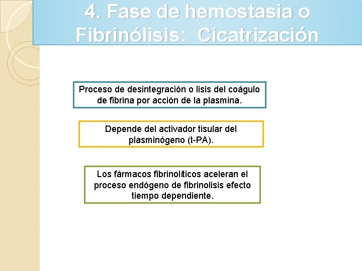 4. Fase de hemostasia o Fibrinólisis: Cicatrización Proceso de desintegración o lisis del coágulo 4. Fase de hemostasia o Fibrinólisis: Cicatrización Proceso de desintegración o lisis del coágulo