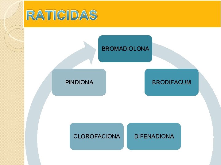 RATICIDAS BROMADIOLONA PINDIONA CLOROFACIONA BRODIFACUM DIFENADIONA RATICIDAS BROMADIOLONA PINDIONA CLOROFACIONA BRODIFACUM DIFENADIONA
