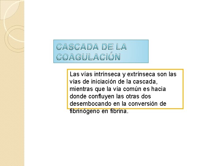 CASCADA DE LA COAGULACIÓN Las vías intrínseca y extrínseca son las vías de iniciación CASCADA DE LA COAGULACIÓN Las vías intrínseca y extrínseca son las vías de iniciación
