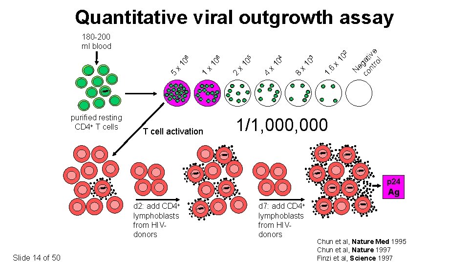 Quantitative viral outgrowth assay purified resting CD 4+ T cells T cell activation e