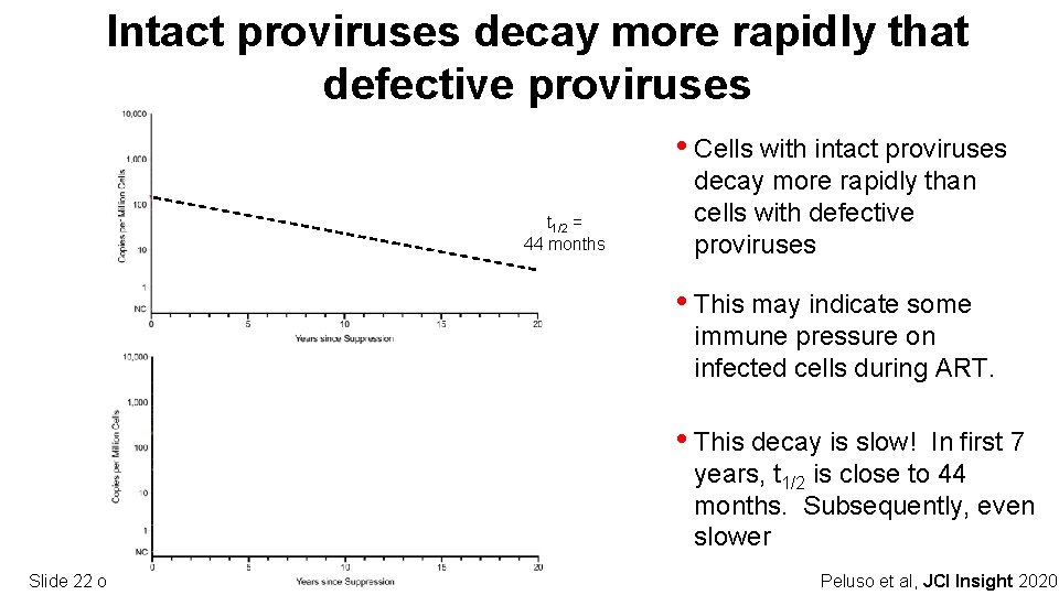 Intact proviruses decay more rapidly that defective proviruses Intact • Cells with intact proviruses