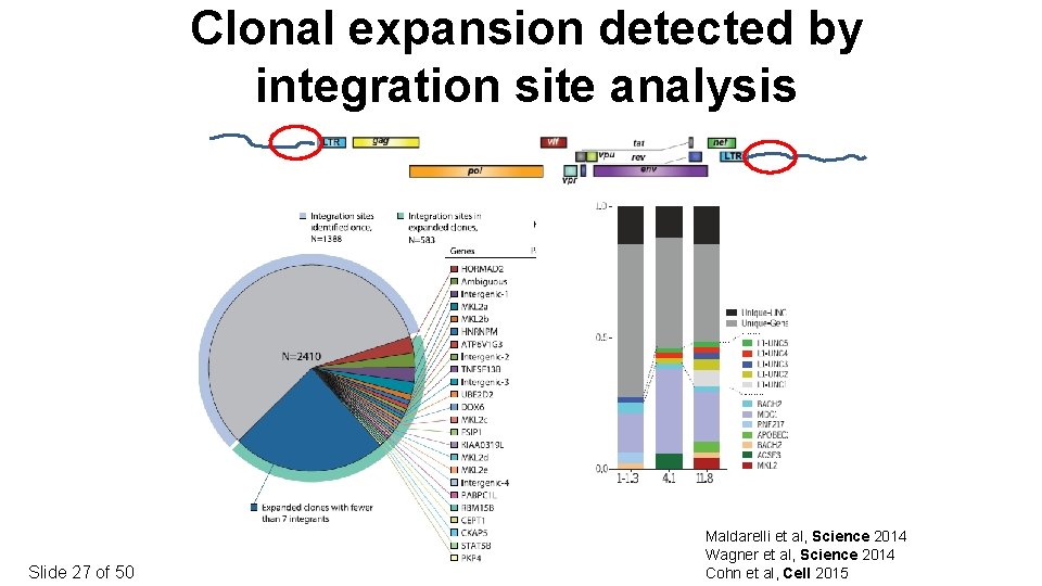 Clonal expansion detected by integration site analysis Slide 27 of 50 Maldarelli et al,