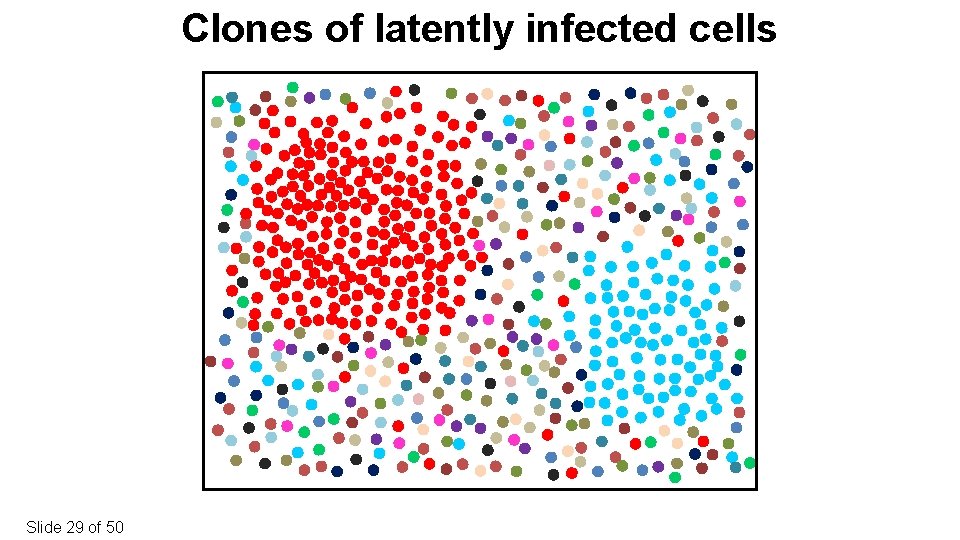 Clones of latently infected cells Slide 29 of 50 