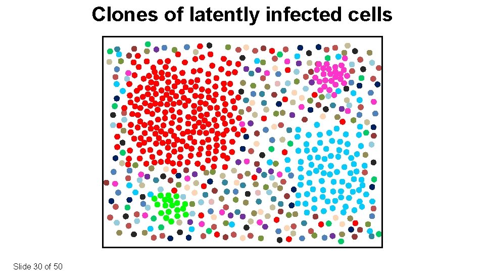 Clones of latently infected cells Slide 30 of 50 