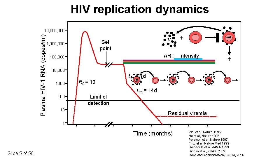 HIV replication dynamics Plasma HIV-1 RNA (copes/ml) 10, 000 v Set point 1, 000