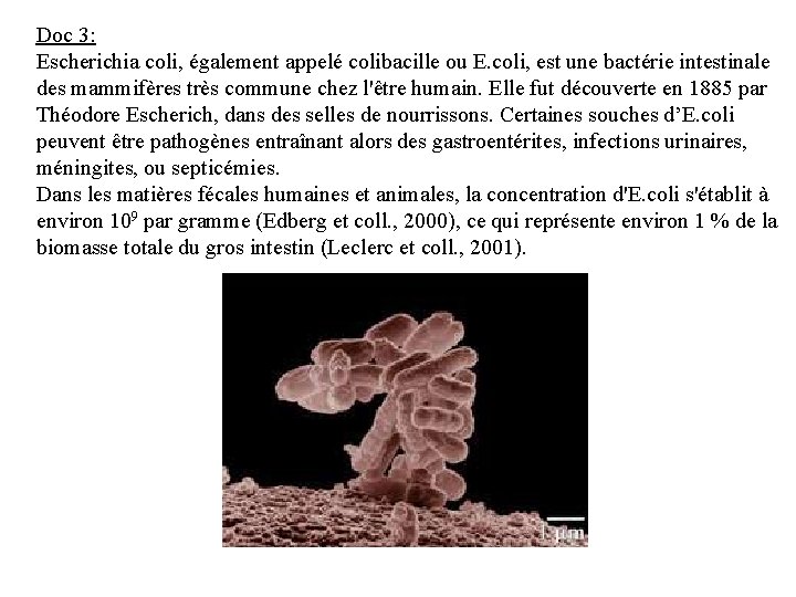 Doc 3: Escherichia coli, également appelé colibacille ou E. coli, est une bactérie intestinale