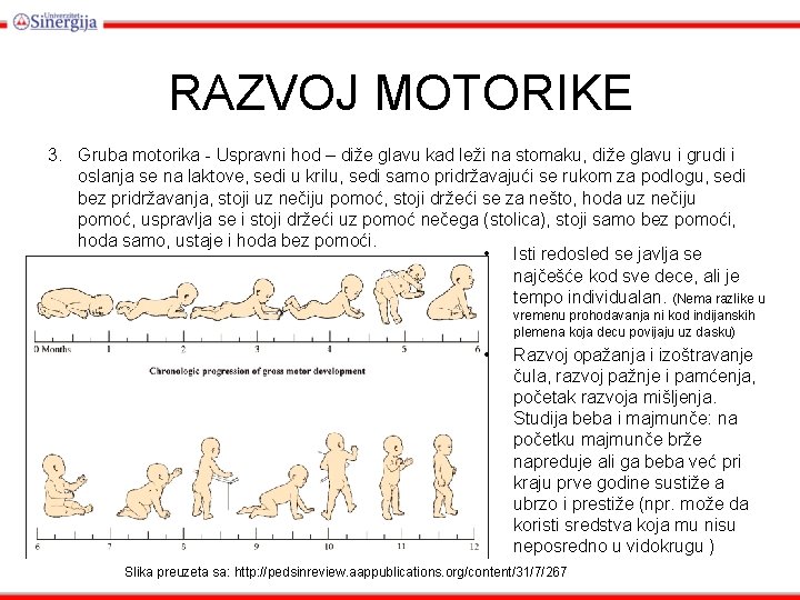 RAZVOJ MOTORIKE 3. Gruba motorika - Uspravni hod – diže glavu kad leži na