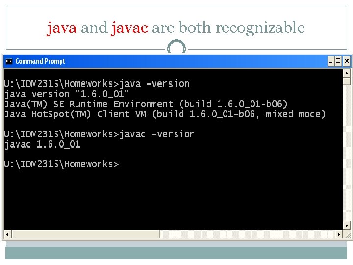 java and javac are both recognizable 
