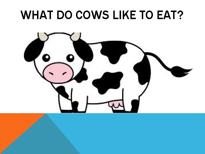 WHAT DO COWS LIKE TO EAT? 