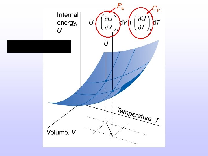 Pu CV 