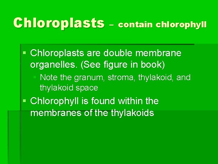 Chloroplasts – contain chlorophyll § Chloroplasts are double membrane organelles. (See figure in book)