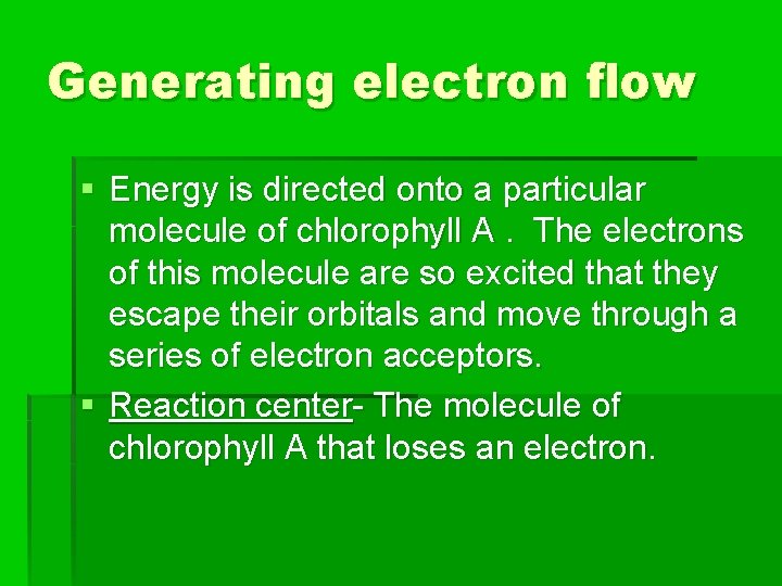 Generating electron flow § Energy is directed onto a particular molecule of chlorophyll A.