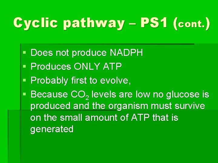 Cyclic pathway – PS 1 (cont. ) § § Does not produce NADPH Produces