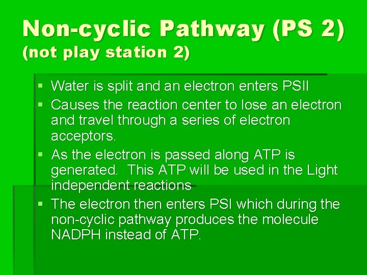 Non-cyclic Pathway (PS 2) (not play station 2) § Water is split and an