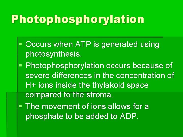 Photophosphorylation § Occurs when ATP is generated using photosynthesis. § Photophosphorylation occurs because of