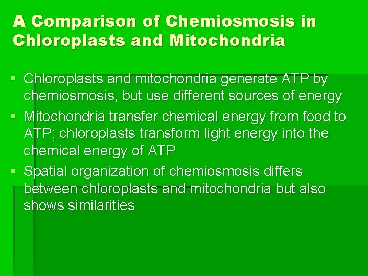 A Comparison of Chemiosmosis in Chloroplasts and Mitochondria § Chloroplasts and mitochondria generate ATP