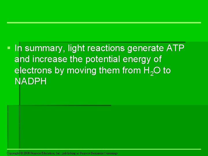 § In summary, light reactions generate ATP and increase the potential energy of electrons