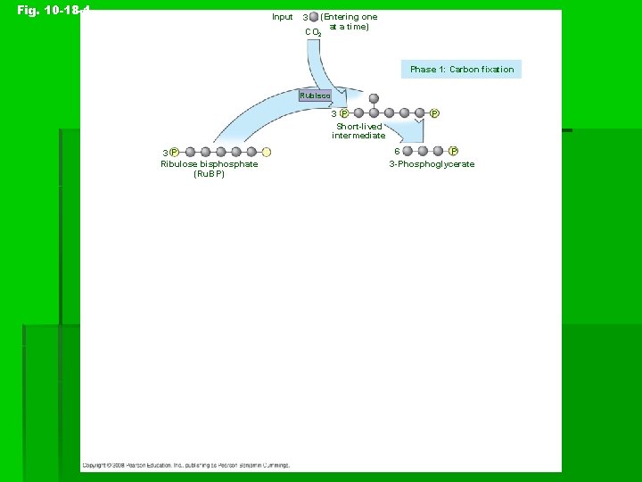 Fig. 10 -18 -1 Input 3 (Entering one at a time) CO 2 Phase