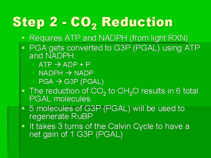 Step 2 - CO 2 Reduction § Requires ATP and NADPH (from light RXN)