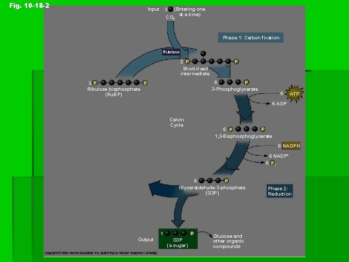 Fig. 10 -18 -2 Input 3 (Entering one at a time) CO 2 Phase