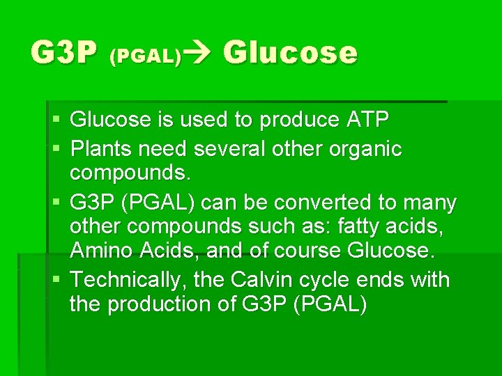 G 3 P (PGAL) Glucose § Glucose is used to produce ATP § Plants