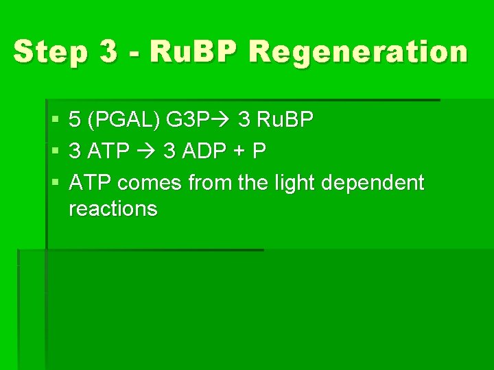 Step 3 - Ru. BP Regeneration § § § 5 (PGAL) G 3 P