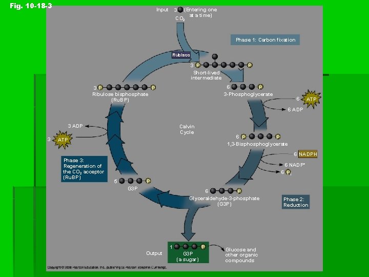 Fig. 10 -18 -3 Input 3 (Entering one at a time) CO 2 Phase