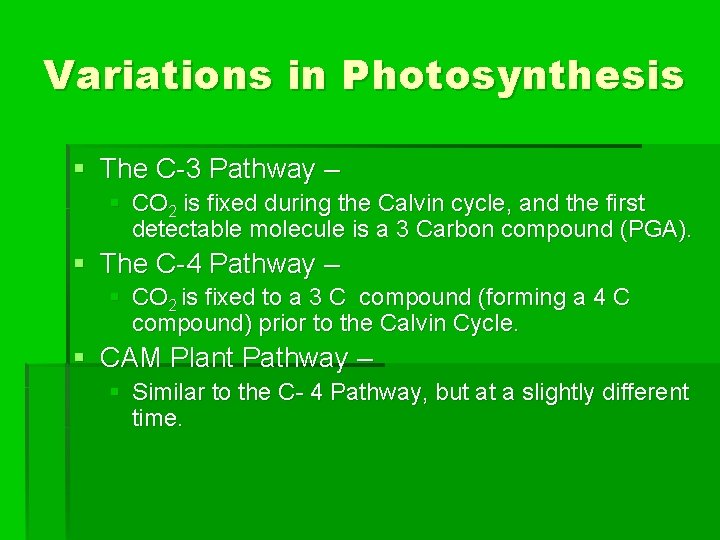 Variations in Photosynthesis § The C-3 Pathway – § CO 2 is fixed during
