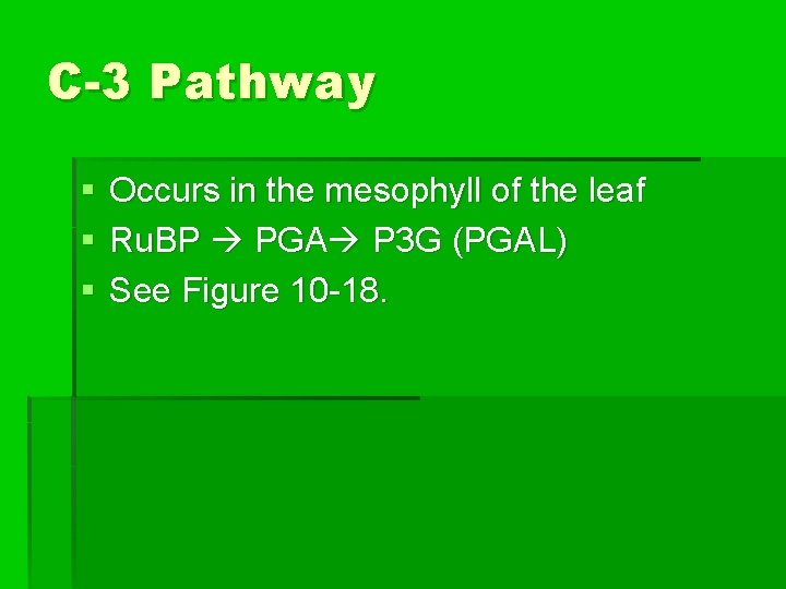 C-3 Pathway § § § Occurs in the mesophyll of the leaf Ru. BP
