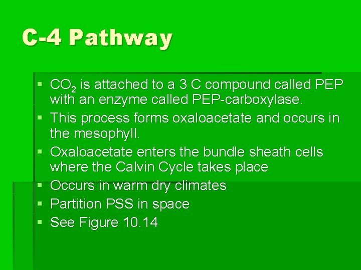 C-4 Pathway § CO 2 is attached to a 3 C compound called PEP