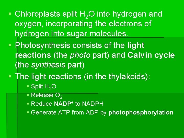 § Chloroplasts split H 2 O into hydrogen and oxygen, incorporating the electrons of