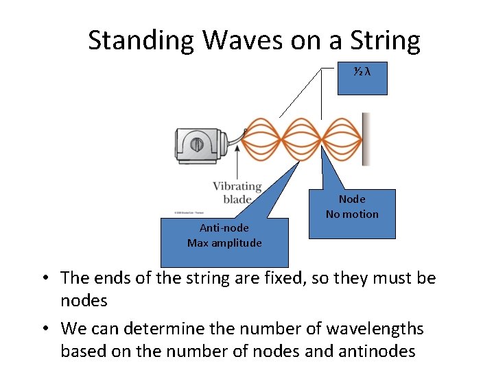 Standing Waves on a String ½λ Anti-node Max amplitude No motion • The ends