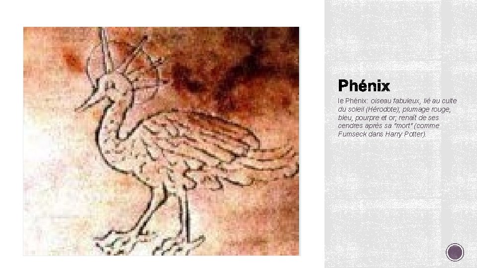 le Phénix: oiseau fabuleux, lié au culte du soleil (Hérodote); plumage rouge, bleu, pourpre