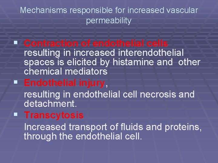 Mechanisms responsible for increased vascular permeability § Contraction of endothelial cells resulting in increased