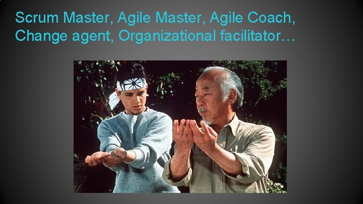 Scrum Master, Agile Coach, Change agent, Organizational facilitator… 
