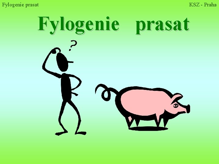 Fylogenie prasat KSZ - Praha Fylogenie prasat 