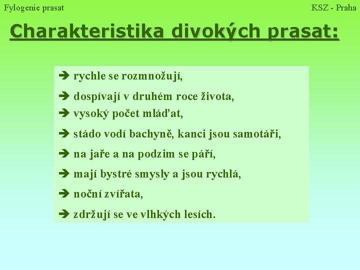 Fylogenie prasat KSZ - Praha Charakteristika divokých prasat: è rychle se rozmnožují, è dospívají