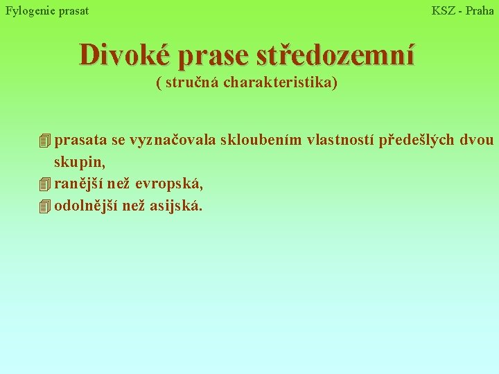 Fylogenie prasat KSZ - Praha Divoké prase středozemní ( stručná charakteristika) 4 prasata se